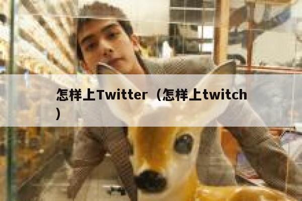 怎样上Twitter（怎样上twitch） 第1张