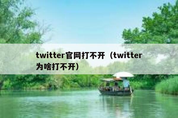 twitter官网打不开（twitter为啥打不开） 第1张