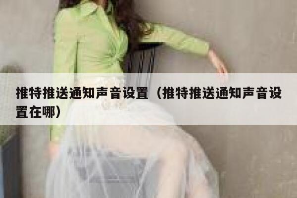 推特推送通知声音设置（推特推送通知声音设置在哪） 第1张