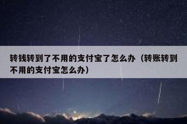 转钱转到了不用的支付宝了怎么办(转账转到不用的支付宝怎么办) 第1张 转钱转到了不用的支付宝了怎么办(转账转到不用的支付宝怎么办) 第1张