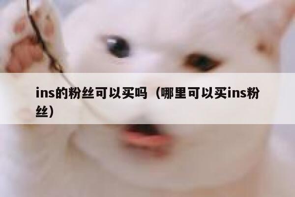 ins的粉丝可以买吗(哪里可以买ins粉丝) 第1张 ins的粉丝可以买吗(哪里可以买ins粉丝) 第1张