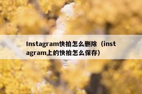 Instagram快拍怎么删除(instagram上的快拍怎么保存) 第1张 Instagram快拍怎么删除(instagram上的快拍怎么保存) 第1张
