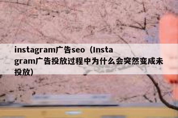 instagram广告seo(Instagram广告投放过程中为什么会突然变成未投放) 第1张 instagram广告seo(Instagram广告投放过程中为什么会突然变成未投放) 第1张
