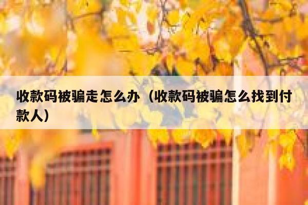 收款码被骗走怎么办(收款码被骗怎么找到付款人) 第1张 收款码被骗走怎么办(收款码被骗怎么找到付款人) 第1张