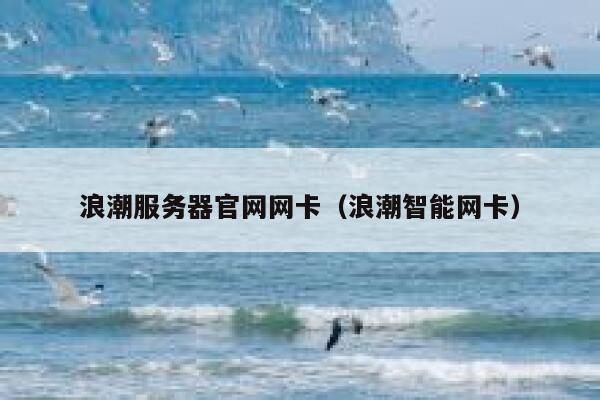 浪潮服务器官网网卡（浪潮智能网卡） 第1张