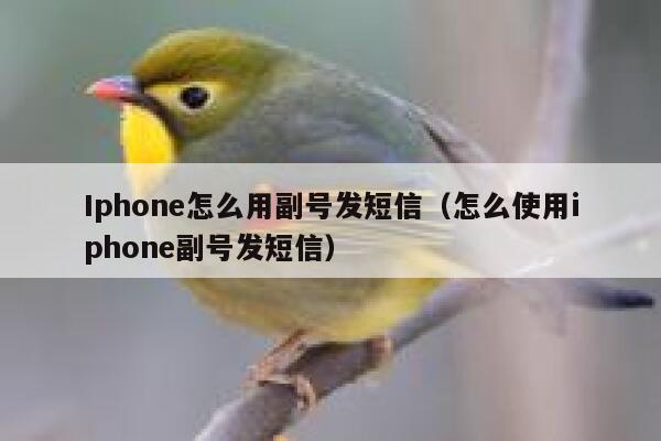 Iphone怎么用副号发短信（怎么使用iphone副号发短信） 第1张