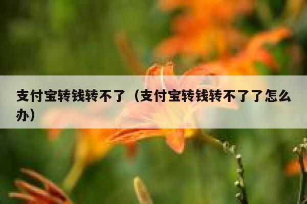 支付宝转钱转不了（支付宝转钱转不了了怎么办） 第1张