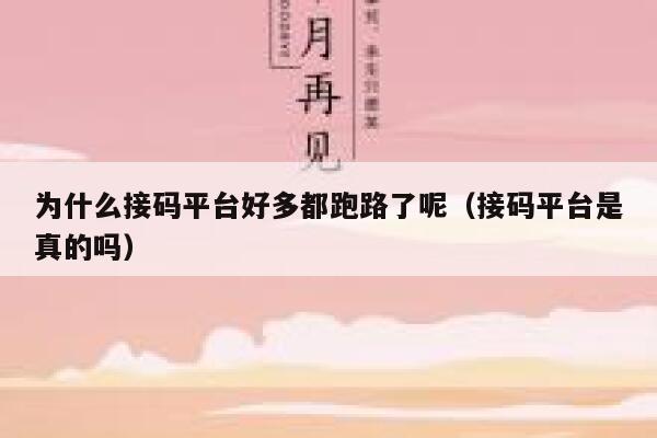 为什么接码平台好多都跑路了呢（接码平台是真的吗） 第1张