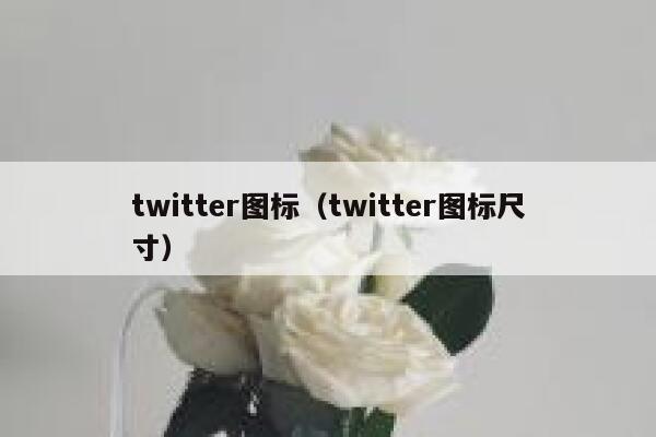 twitter图标（twitter图标尺寸） 第1张