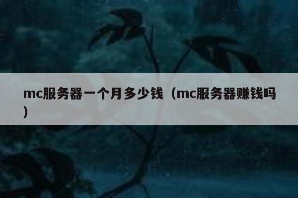 mc服务器一个月多少钱(mc服务器赚钱吗) 第1张 mc服务器一个月多少钱(mc服务器赚钱吗) 第1张