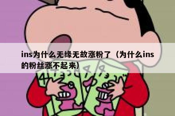 ins为什么无缘无故涨粉了（为什么ins的粉丝涨不起来） 第1张