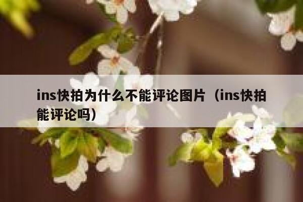 ins快拍为什么不能评论图片(ins快拍能评论吗) 第1张 ins快拍为什么不能评论图片(ins快拍能评论吗) 第1张