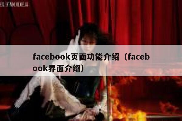 facebook页面功能介绍（facebook界面介绍） 第1张