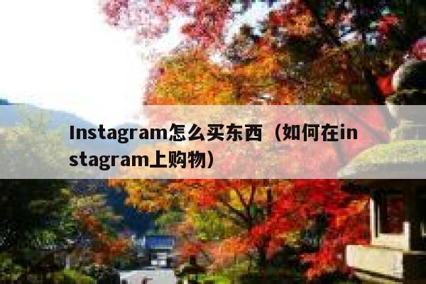 Instagram怎么买东西(如何在instagram上购物) 第1张 Instagram怎么买东西(如何在instagram上购物) 第1张