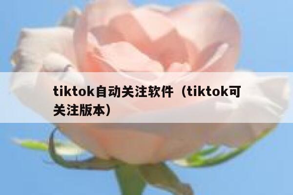 tiktok自动关注软件（tiktok可关注版本） 第1张