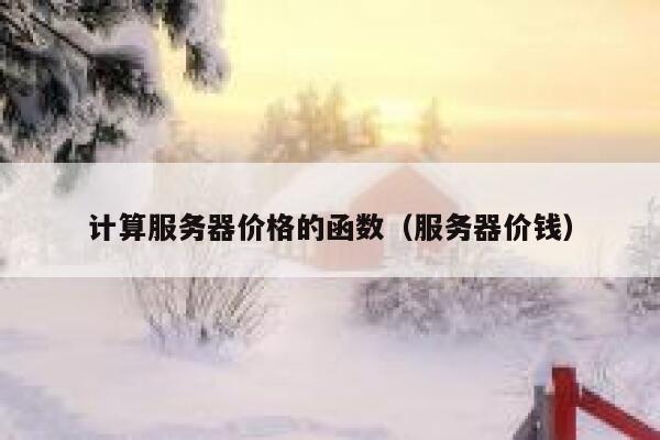 计算服务器价格的函数（服务器价钱） 第1张