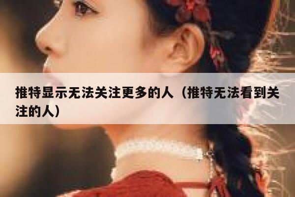 推特显示无法关注更多的人（推特无法看到关注的人） 第1张