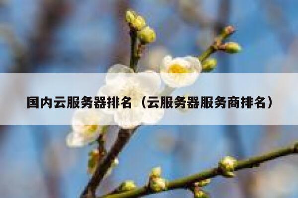 国内云服务器排名（云服务器服务商排名） 第1张