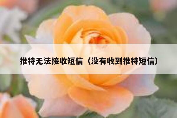 推特无法接收短信（没有收到推特短信） 第1张