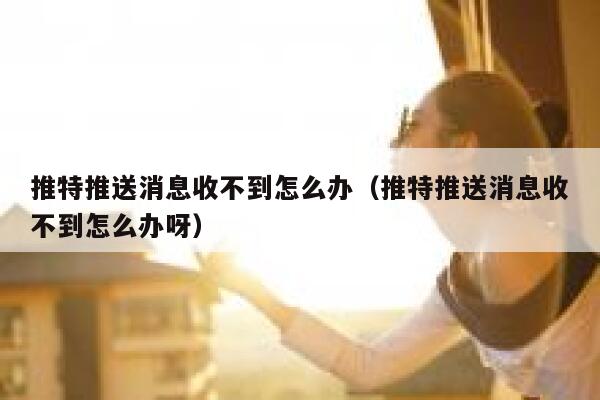 推特推送消息收不到怎么办（推特推送消息收不到怎么办呀） 第1张