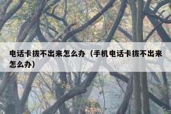 电话卡拔不出来怎么办（手机电话卡拔不出来怎么办） 第1张