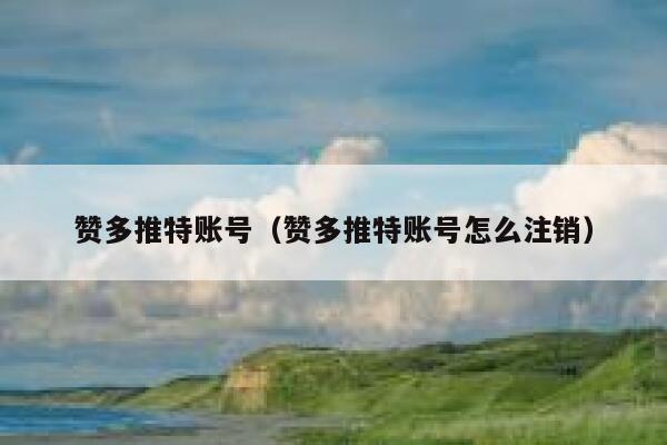 赞多推特账号（赞多推特账号怎么注销） 第1张