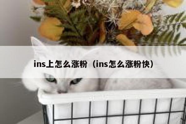 ins上怎么涨粉（ins怎么涨粉快） 第1张
