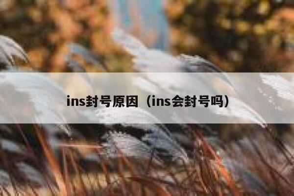 ins封号原因（ins会封号吗） 第1张
