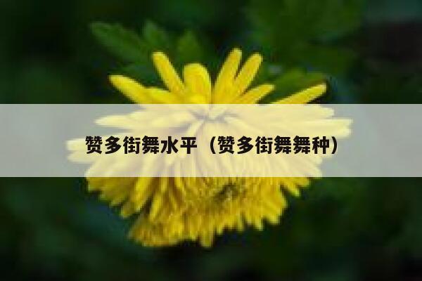 赞多街舞水平（赞多街舞舞种） 第1张