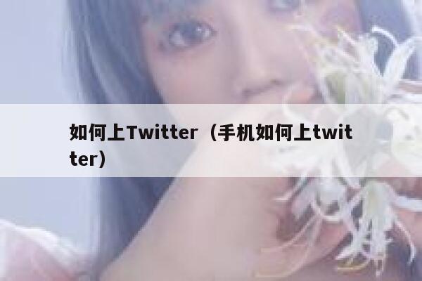 如何上Twitter(手机如何上twitter) 第1张 如何上Twitter(手机如何上twitter) 第1张