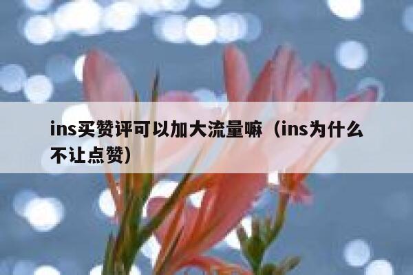ins买赞评可以加大流量嘛（ins为什么不让点赞） 第1张