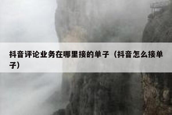 抖音评论业务在哪里接的单子（抖音怎么接单子） 第1张