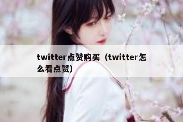 twitter点赞购买（twitter怎么看点赞） 第1张