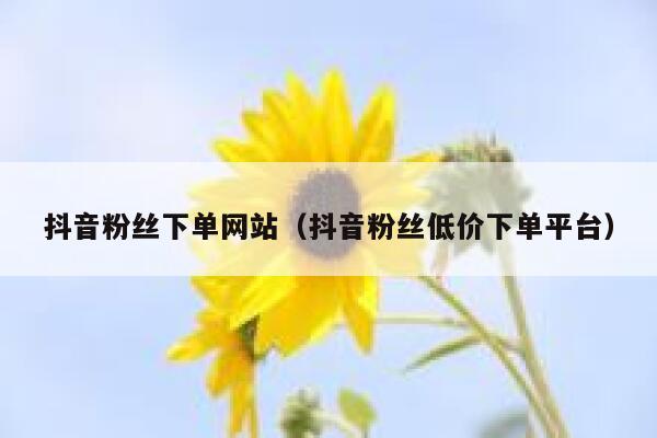 抖音粉丝下单网站(抖音粉丝低价下单平台) 第1张 抖音粉丝下单网站(抖音粉丝低价下单平台) 第1张