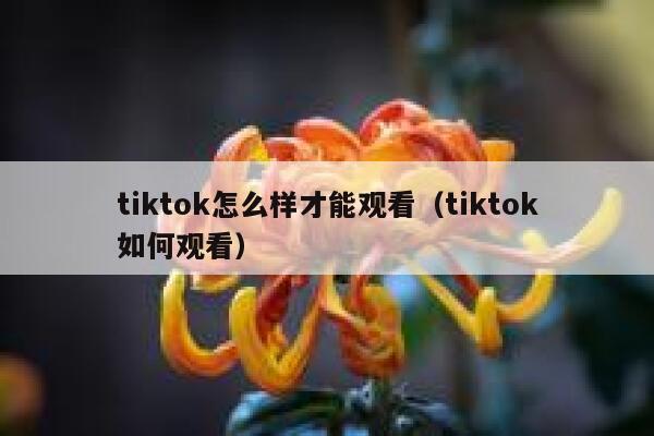 tiktok怎么样才能观看(tiktok如何观看) 第1张 tiktok怎么样才能观看(tiktok如何观看) 第1张