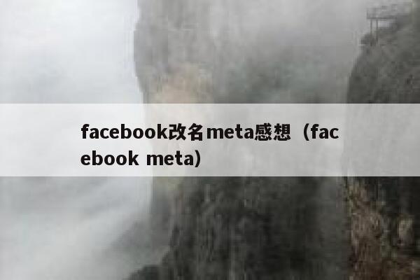 facebook改名meta感想（facebook meta） 第1张