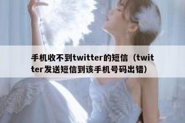 手机收不到twitter的短信（twitter发送短信到该手机号码出错） 第1张