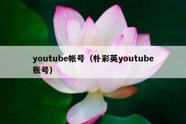 youtube帐号（朴彩英youtube账号） 第1张
