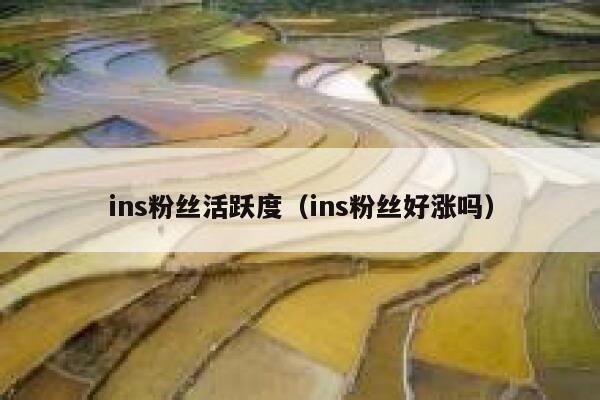 ins粉丝活跃度（ins粉丝好涨吗） 第1张