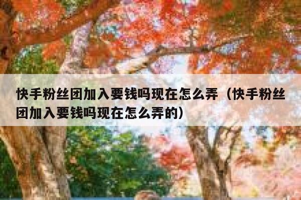 快手粉丝团加入要钱吗现在怎么弄（快手粉丝团加入要钱吗现在怎么弄的） 第1张