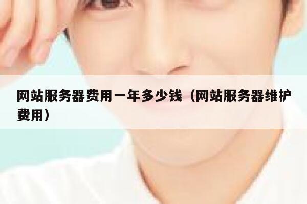 网站服务器费用一年多少钱（网站服务器维护费用） 第1张