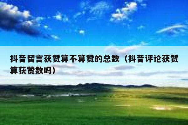 抖音留言获赞算不算赞的总数（抖音评论获赞算获赞数吗） 第1张