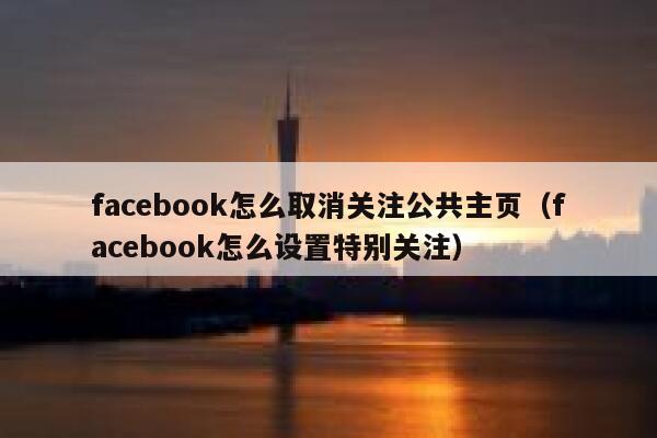 facebook怎么取消关注公共主页（facebook怎么设置特别关注） 第1张