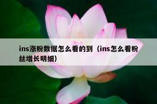 ins涨粉数据怎么看的到（ins怎么看粉丝增长明细） 第1张