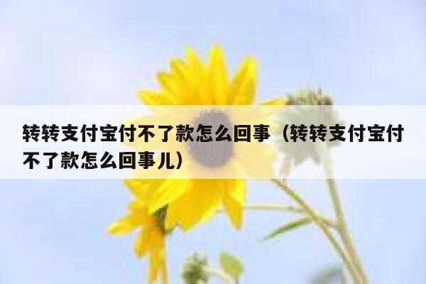 转转支付宝付不了款怎么回事(转转支付宝付不了款怎么回事儿) 第1张 转转支付宝付不了款怎么回事(转转支付宝付不了款怎么回事儿) 第1张