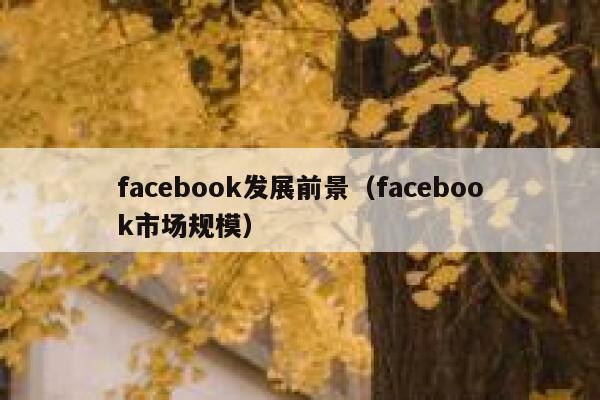 facebook发展前景（facebook市场规模） 第1张