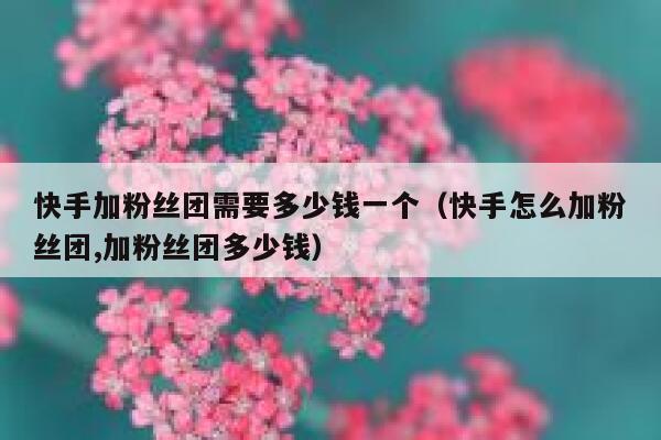快手加粉丝团需要多少钱一个（快手怎么加粉丝团,加粉丝团多少钱） 第1张