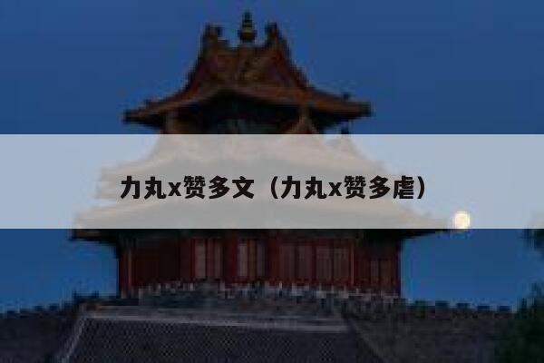 力丸x赞多文（力丸x赞多虐） 第1张