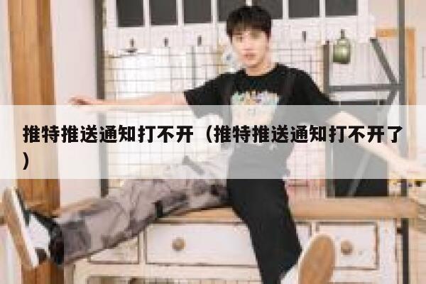 推特推送通知打不开（推特推送通知打不开了） 第1张