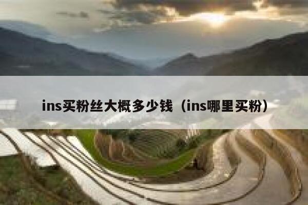 ins买粉丝大概多少钱（ins哪里买粉） 第1张